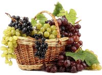 Grapes.Raisins.Uvas.Basket.Victoriabea