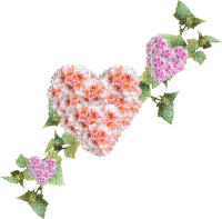 patymirabelle fleurs  forme coeur - PNG gratuit