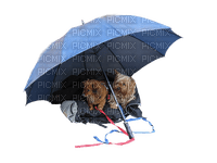 dogs- umbrella-rain - Free PNG