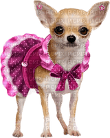 Kaz_Creations Animals Dogs Dog Pup 🐶 - Free PNG