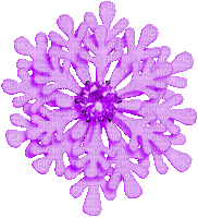 Snowflake.Purple.Animated - KittyKatLuv65 - GIF animado gratis