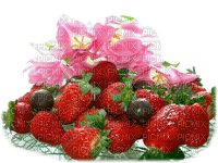 patymirabelle fruits fraise - bezmaksas png