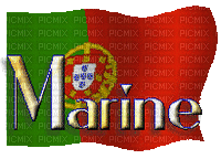 Marine - Nemokamas animacinis gif