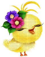 Easter. Chicken. Leila - png gratuito