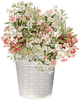 påsk-blommor - PNG gratuit