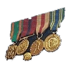 J. Wayne Rial 05 Medals PNG - 免费PNG