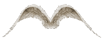 Крылья - GIF animé gratuit