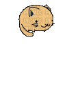 Cat - 無料のアニメーション GIF