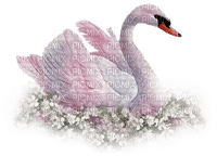 Swan-Nitsa 1 - kostenlos png