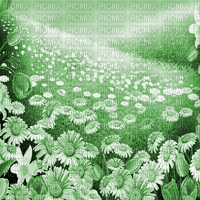 Y.A.M._Spring background green - Free PNG