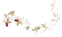 petals anastasia - png grátis