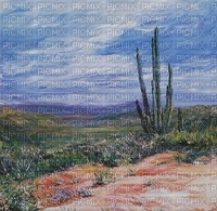 mexico landscape
