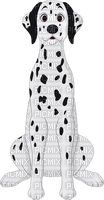 Dalmatian - Free PNG