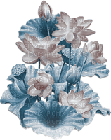 soave deco branch flowers water lilies blue brown - фрее пнг