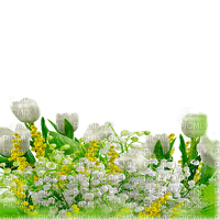 spring  frame  by nataliplus - bezmaksas png
