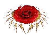 Róża czerwona ruch - Gratis animerad GIF
