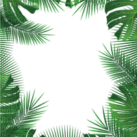 Tropical leaves  Bb2 - ücretsiz png