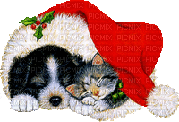 Kaz_Creations Christmas Deco Cat Dog Pup Kitten - Бесплатный анимированный гифка