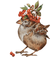 Chicken  Rowanberry Autumn - Bogusia - bezmaksas png