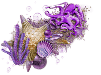 seashells - 免费PNG