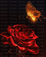 розы - Ilmainen animoitu GIF