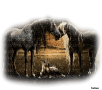 horse. horses bp - besplatni png