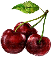 cherries watercolor Bb2 - png ฟรี