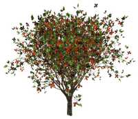 Kaz_Creations Trees Tree - 無料png