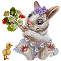 Y.A.M._Summer little animals - Free PNG