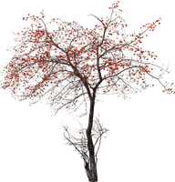 Arbre.Tree.Árbol.Red.Deco.Victoriabea - PNG gratuit