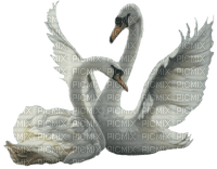 лебеди - δωρεάν png