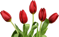 Kaz_Creations Deco Flowers Tulips Flower - png ฟรี
