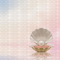 Background Shell - PNG gratuit