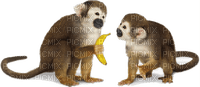 Kaz_Creations Monkey Monkeys - gratis png