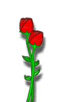 fleurs - Безплатен анимиран GIF