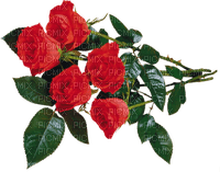 Bouquet.Red roses.Fleurs.Flowers.Victoriabea - PNG gratuit