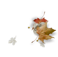 Leaf  Autumn - Bogusia - PNG gratuit