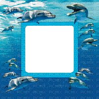 dolphin 3 d frame gif dauphin cadre - GIF animé gratuit