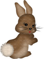 Easter bunny - png ฟรี