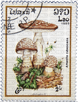 brown mushroom stamp laos - фрее пнг
