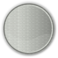 cercle gris - ücretsiz png