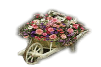 carrito jardin  flores dubravka4 - фрее пнг