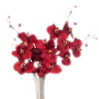 patymirabelle fleurs orchidée - ücretsiz png