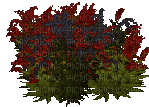 Pflanze - Ücretsiz animasyonlu GIF