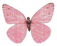 pink butterfly - Gratis animerad GIF