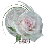 rose blanche bisous - Ücretsiz animasyonlu GIF