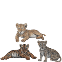 Kaz_Creations Cubs - 免费PNG