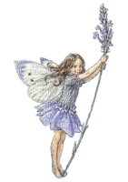 Fairy Lavender - PNG gratuit