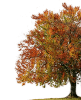 arbol paisaje - δωρεάν png