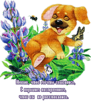 Y.A.M._Wishes, aphorisms, quotes - безплатен png